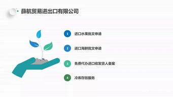 獨(dú)家分享 薛航物流綜合貨運(yùn)代理一站式服務(wù)，高效裝卸搬運(yùn)助力企業(yè)騰飛