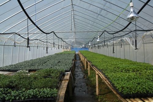 現代農業示范項目蔬菜工廠化育苗基地建設項目可行性研究報告